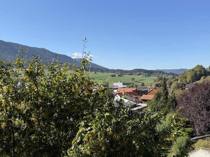 Spacieux 5.5 pièces avec balcon couvert orienté sud-ouest (9)