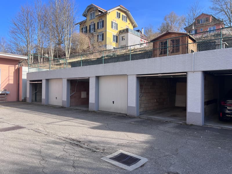 Charmant appartement 4.5 pièces rénové avec garage (12)
