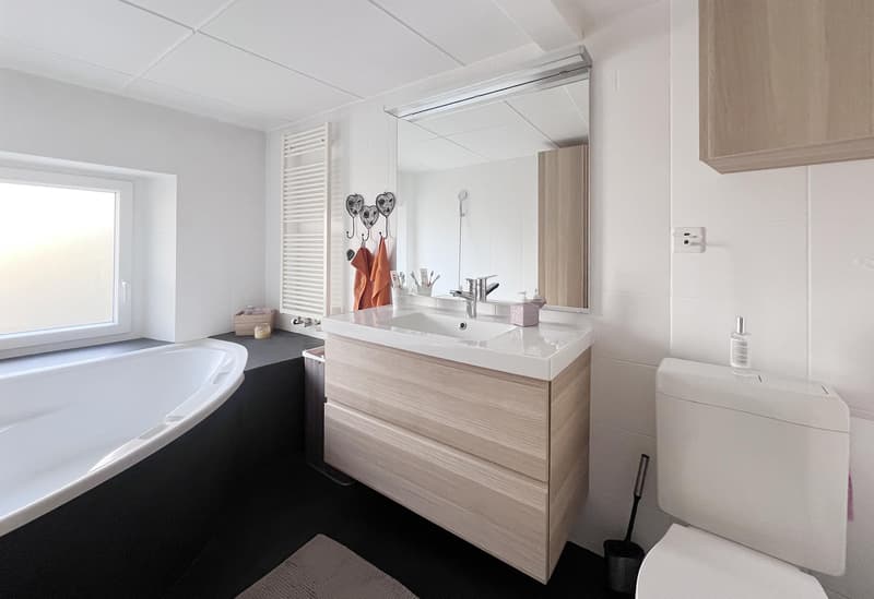 Charmante maison villageoise rénovée (13)