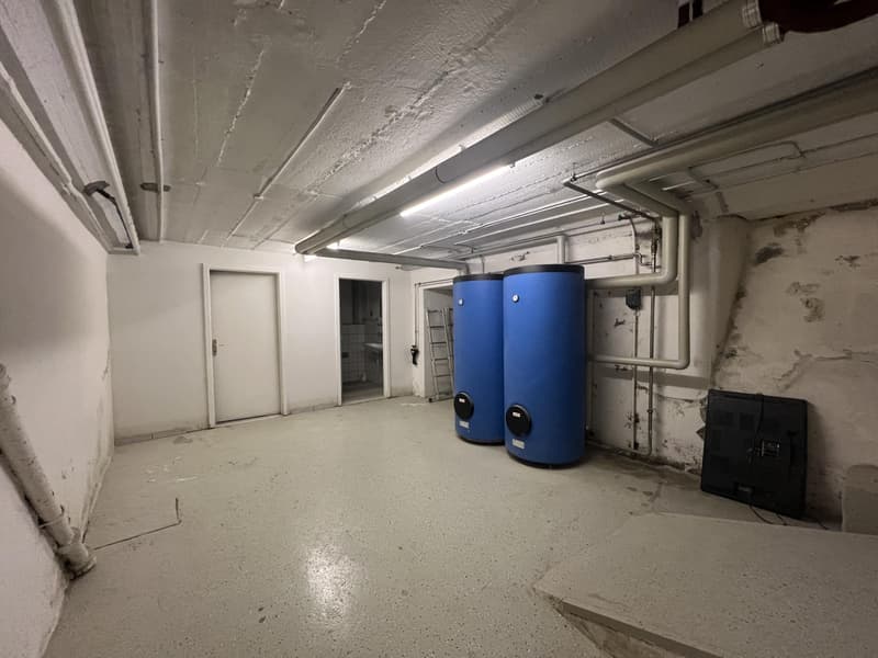 Charmant appartement 4.5 pièces rénové avec garage (13)