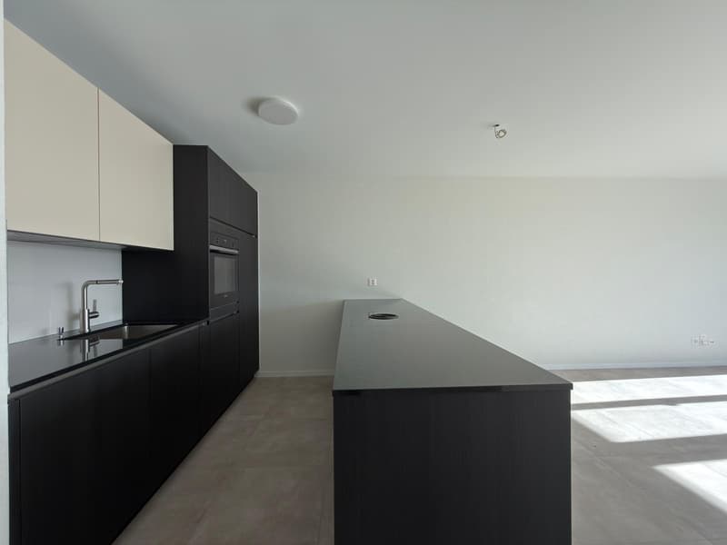 Appartement de 3 pièces au Mettlenweg 11, Bienne (2)