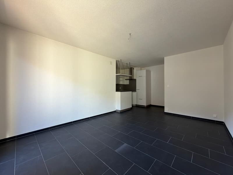 Appartement 3 pièces à la Rue du Milieu 17, Bienne (3)