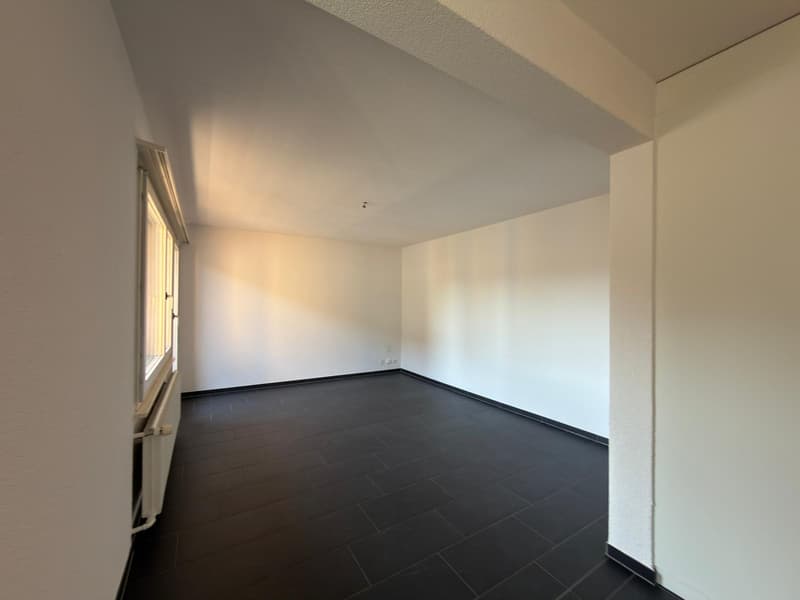 Appartement 3 pièces à la Rue du Milieu 17, Bienne (3)
