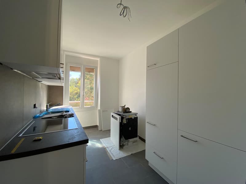 Appartement 3 pièces rénové avec cachet à louer ? Bienne (3)