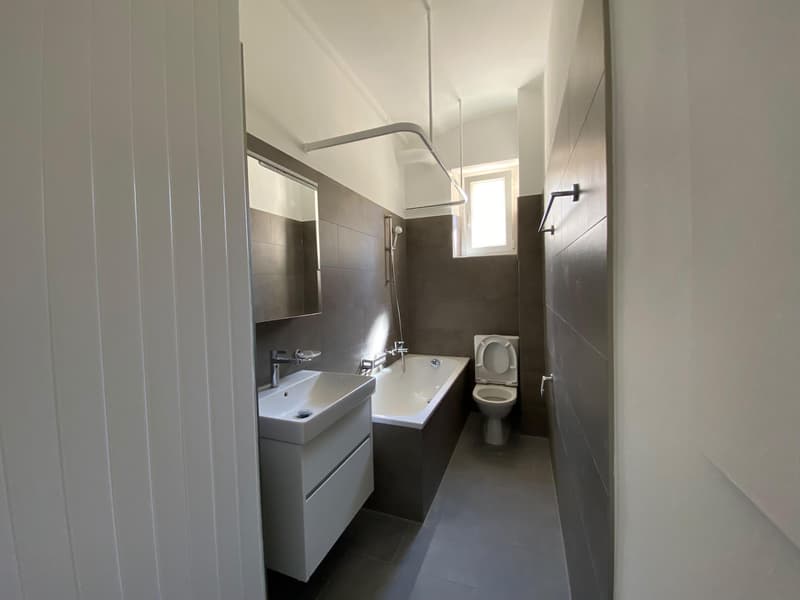 Appartement 3 pièces rénové avec cachet à louer ? Bienne (3)