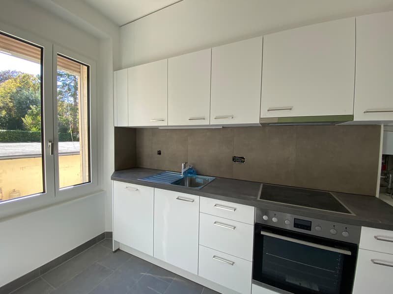 Appartement 3 pièces rénové avec cachet à louer ? Bienne (8)