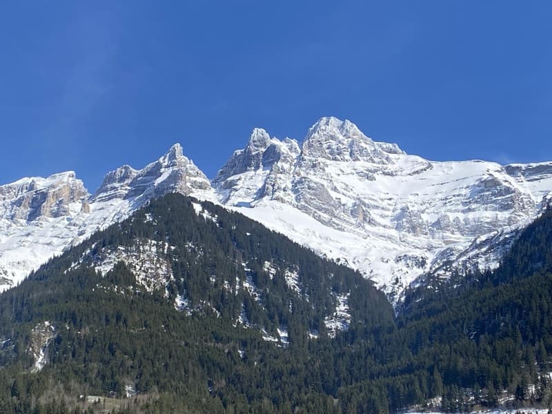 Votre hiver face aux Dents du Midi (8)