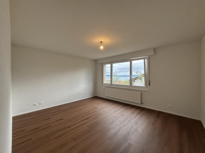 Appartement rénové de 4 pièces au rez-de-chaussée (5)