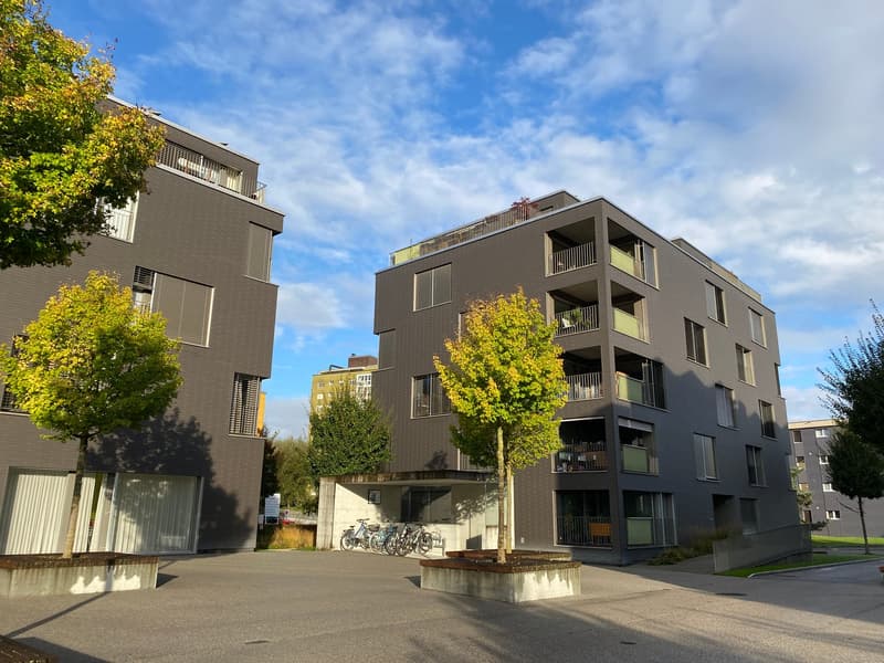 Moderne 4.5-Zimmerwohnung für Sie und Ihre Familie (1)