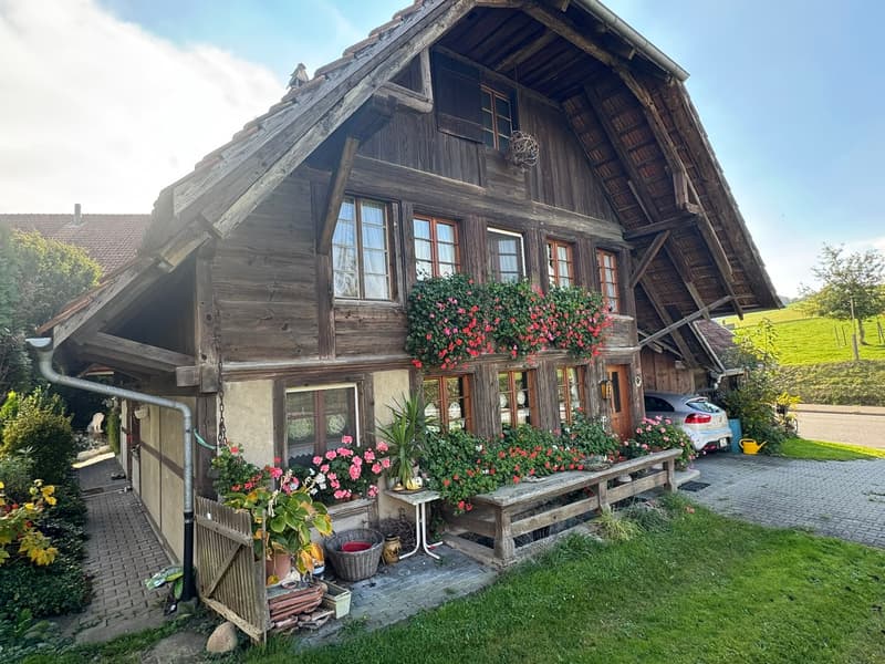 Traditional wooden house, steep roof, flower boxes, car parked in front, garden with various plants
