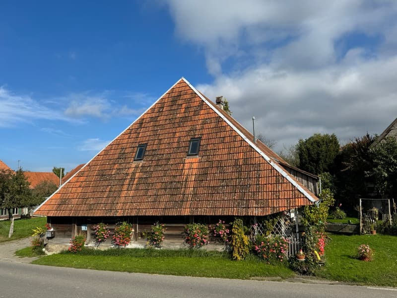 Traditional house with a triangular roof, red tiles, wooden exterior, surrounded by flowers and plants, located on a street with a grassy area.