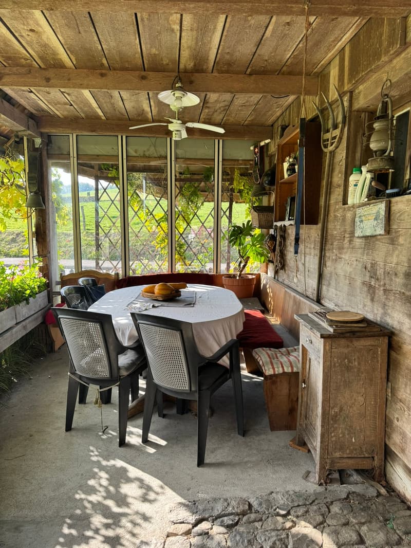 wooden walls, wooden ceiling, table with chairs, bench, plants, windows, ceiling fan