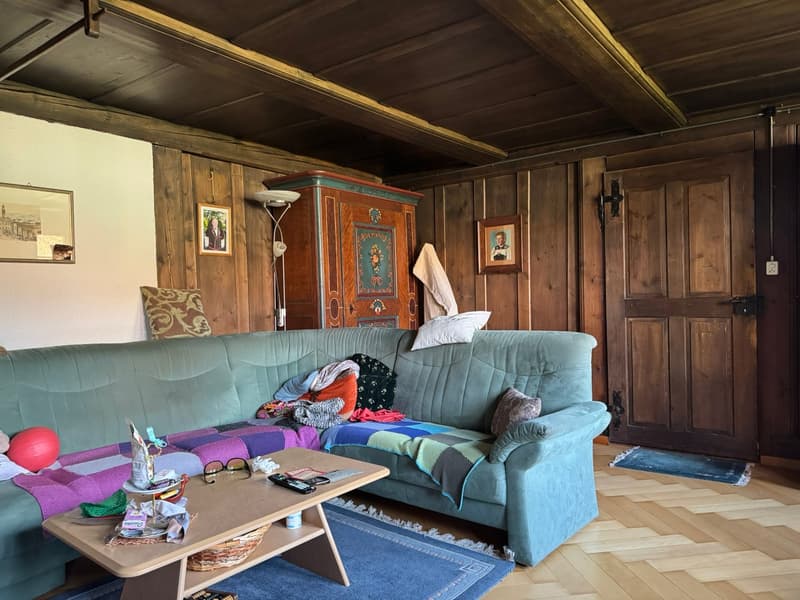 Living room with wooden walls, a large sofa, a wooden coffee table, a wooden cabinet, a lamp, and a rug.