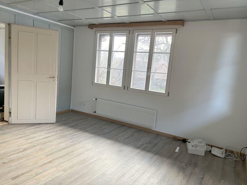 Charmante 3-Zimmer-Wohnung mit tollem Ambiente (7)
