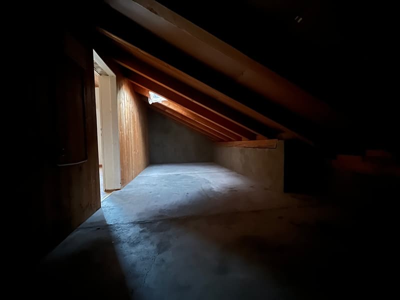 Ruhige 1-Zimmer-Wohnung, ideal für eine Einzelperson (8)