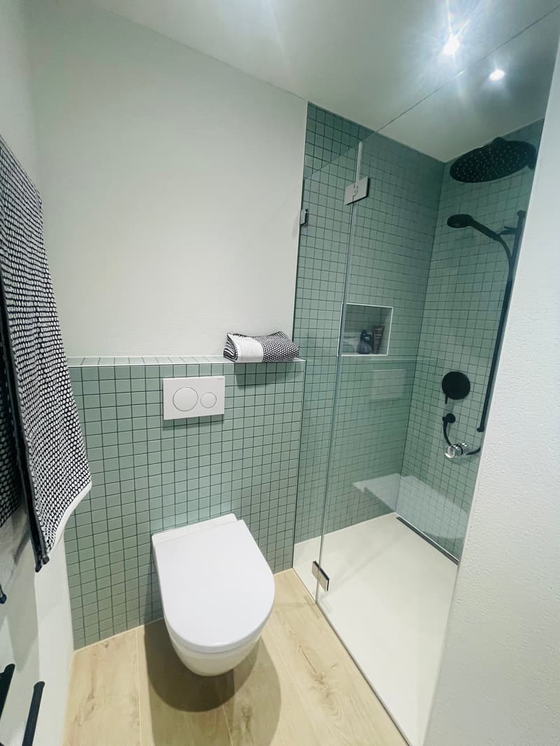 NEUBAU   Traumhaftes Eigenheim an sehr idyllischer Lage in Leuzigen (36)