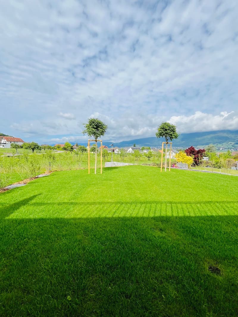 NEUBAU   Traumhaftes Eigenheim an sehr idyllischer Lage in Leuzigen (40)