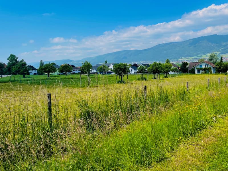 NEUBAU   Traumhaftes Eigenheim an sehr idyllischer Lage in Leuzigen (52)