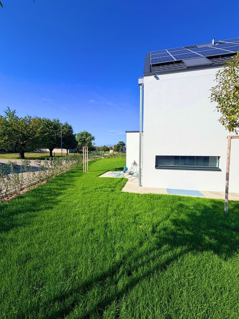 NEUBAU Traumhaftes Eigenheim an sehr idyllischer Lage in Leuzigen (40)