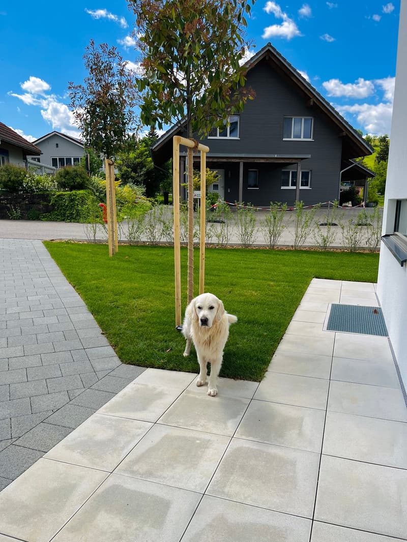 NEUBAU   Traumhaftes Eigenheim an sehr idyllischer Lage in Leuzigen (7)