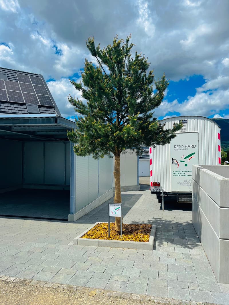 NEUBAU   Wunderschönes Eigenheim ab sofort bereit für den Erstbezug (40)