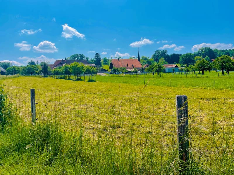 Aussicht ins Grüne