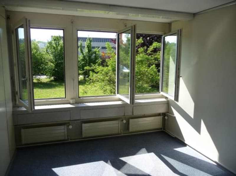 Büro 1