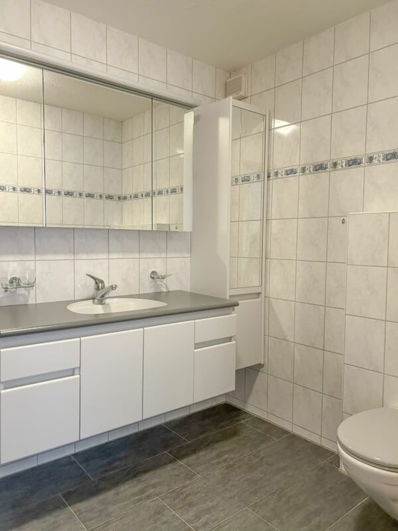 grosszügige 4.5 Zimmer Wohnung (9)