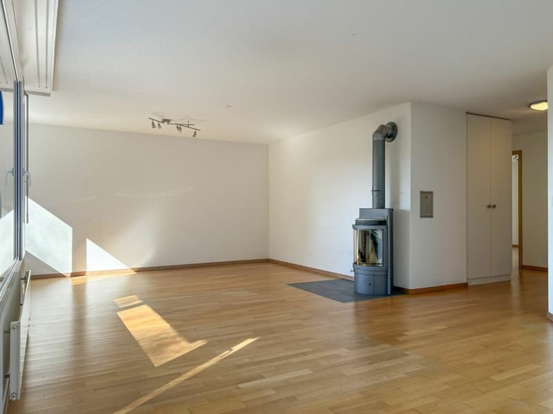 grosszügige 4.5 Zimmer Wohnung (3)