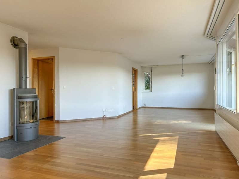 grosszügige 4.5 Zimmer Wohnung (4)