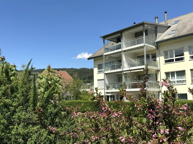 Attraktive und zentral gelegene Dachwohnung mit Galerie (1)