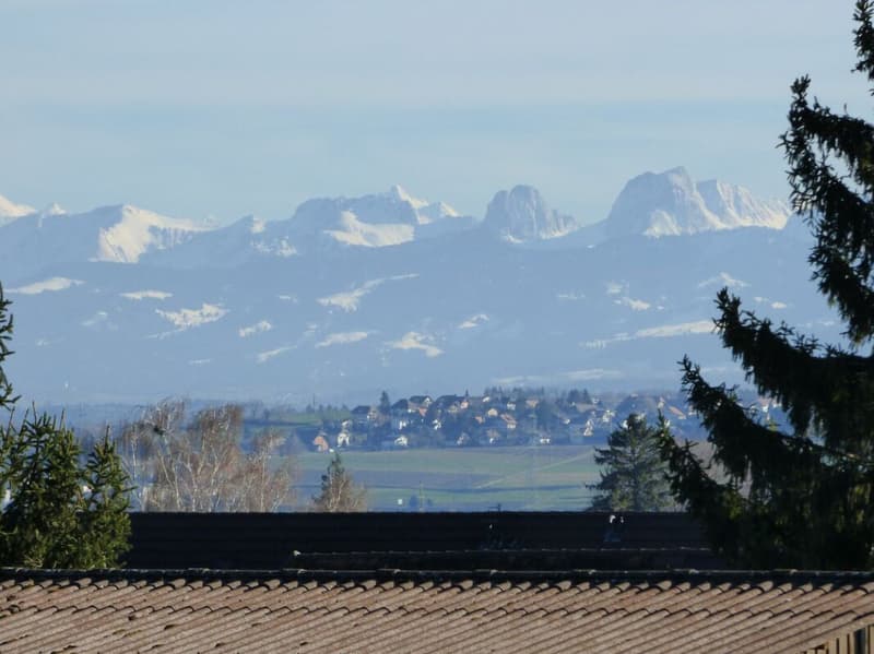 neuwertige Gartenwohnung an idyllischer Lage (9)