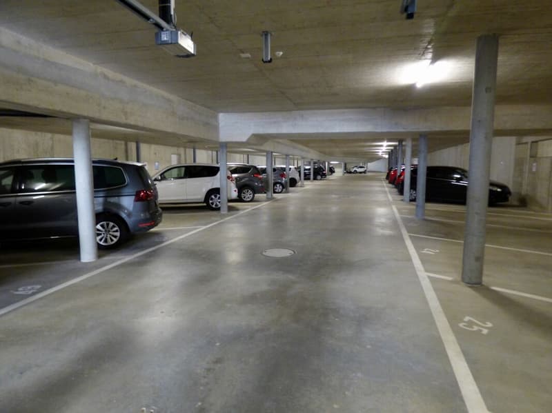 neuwertige Gartenwohnung an idyllischer Lage (11)