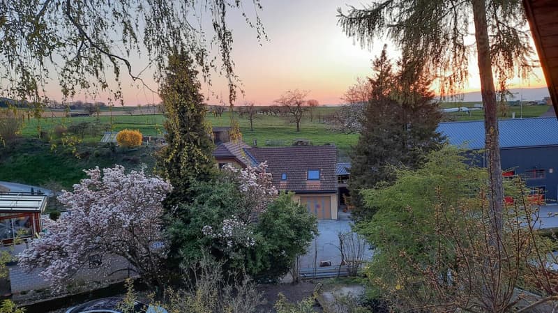 grosszügiges Wohnhaus mit vielen Möglichkeiten (22)