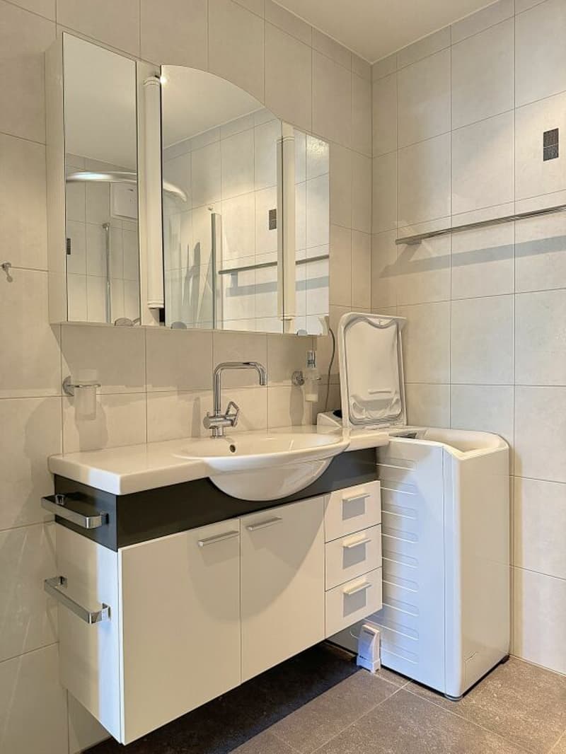 Attraktive und zentral gelegene Dachwohnung mit Galerie (9)