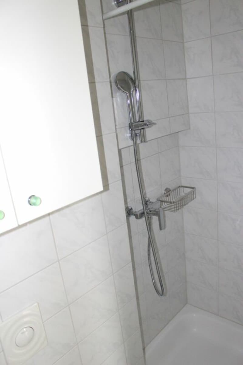 Studiowohnung  - klein aber fein ! (8)