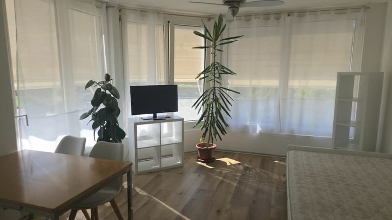 Studiowohnung  - klein aber fein ! (5)