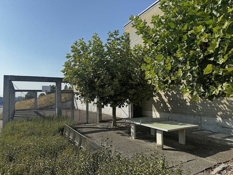 Zeitlose Architektur trifft auf überraschende Wohnqualität (27)