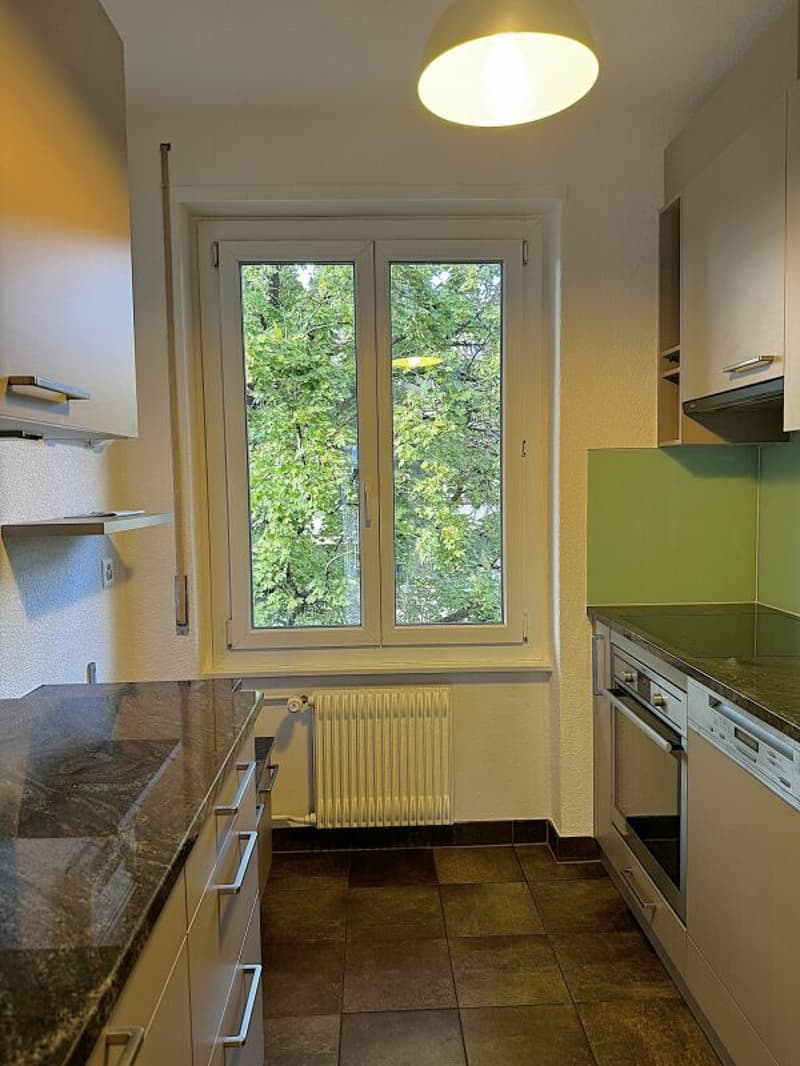 Wohnjuwel im Holligenquartier Bern (7)