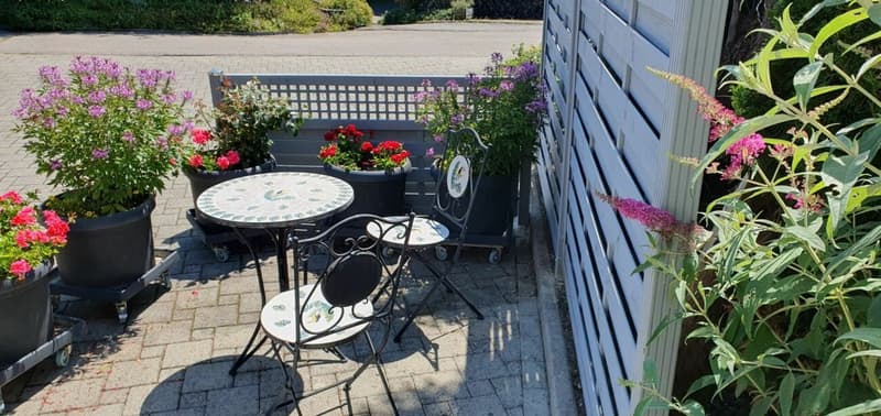 Studiowohnung  - klein aber fein ! (13)
