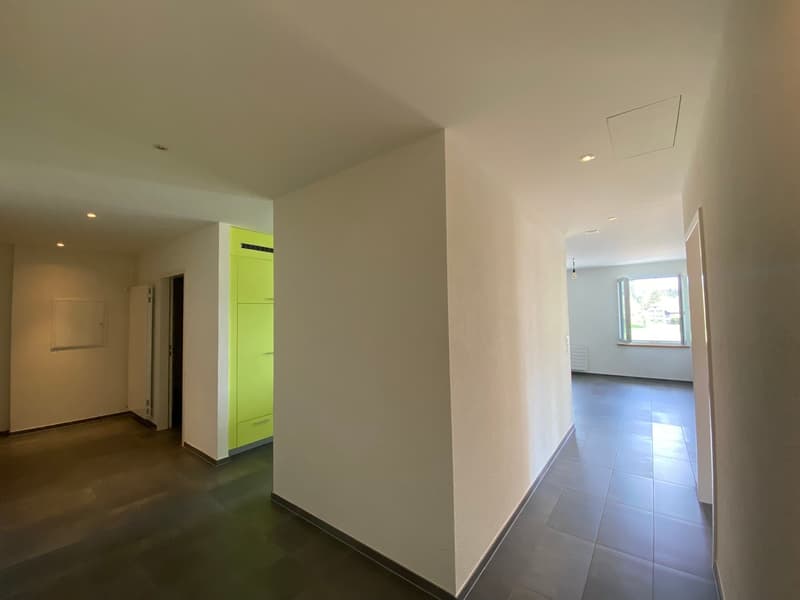 empty room, white walls, gray floor, neon green door, square window, lights on the ceiling