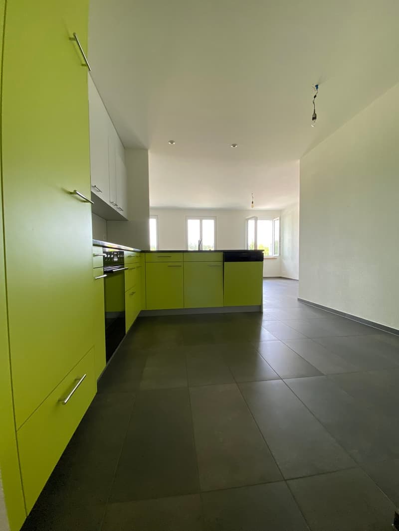 empty kitchen with green cabinets, grey tiled floor, dishwasher, windows