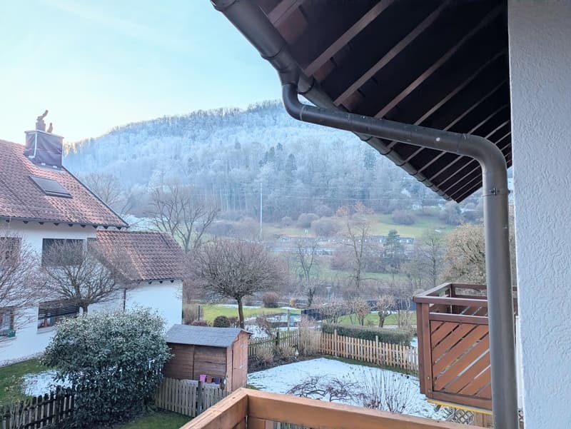 House with brown roof, balcony with wooden railing, snowy mountain in the background, wooden shed, wooden fence, trees, and plants