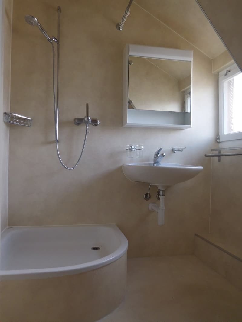 Gemütliche 2.5-Zimmer-Wohnung mit viel Charme und idealer Lage (6)