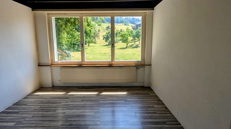 Charmantes 5.5-Zimmer-Einfamilienhaus in Rohrbach (10)