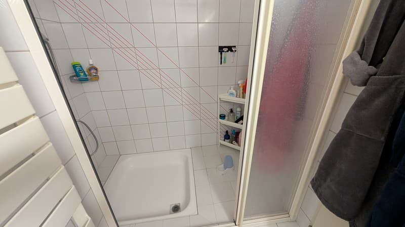 Lichtdurchflutet mit zwei Balkonen, Kamin & zwei Garagenboxen (11)