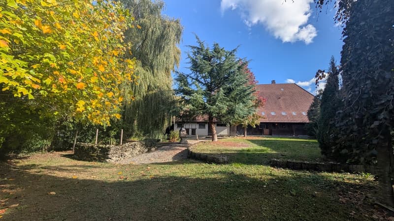 Charmantes, historisches Bauernhaus mit grossem Garten, Stallung und eigener Quelle in Lotzwil (19)