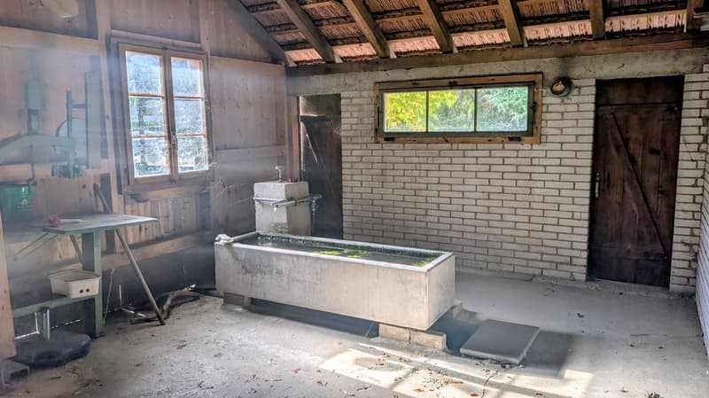 Charmantes, historisches Bauernhaus mit grossem Garten, Stallung und eigener Quelle in Lotzwil (20)