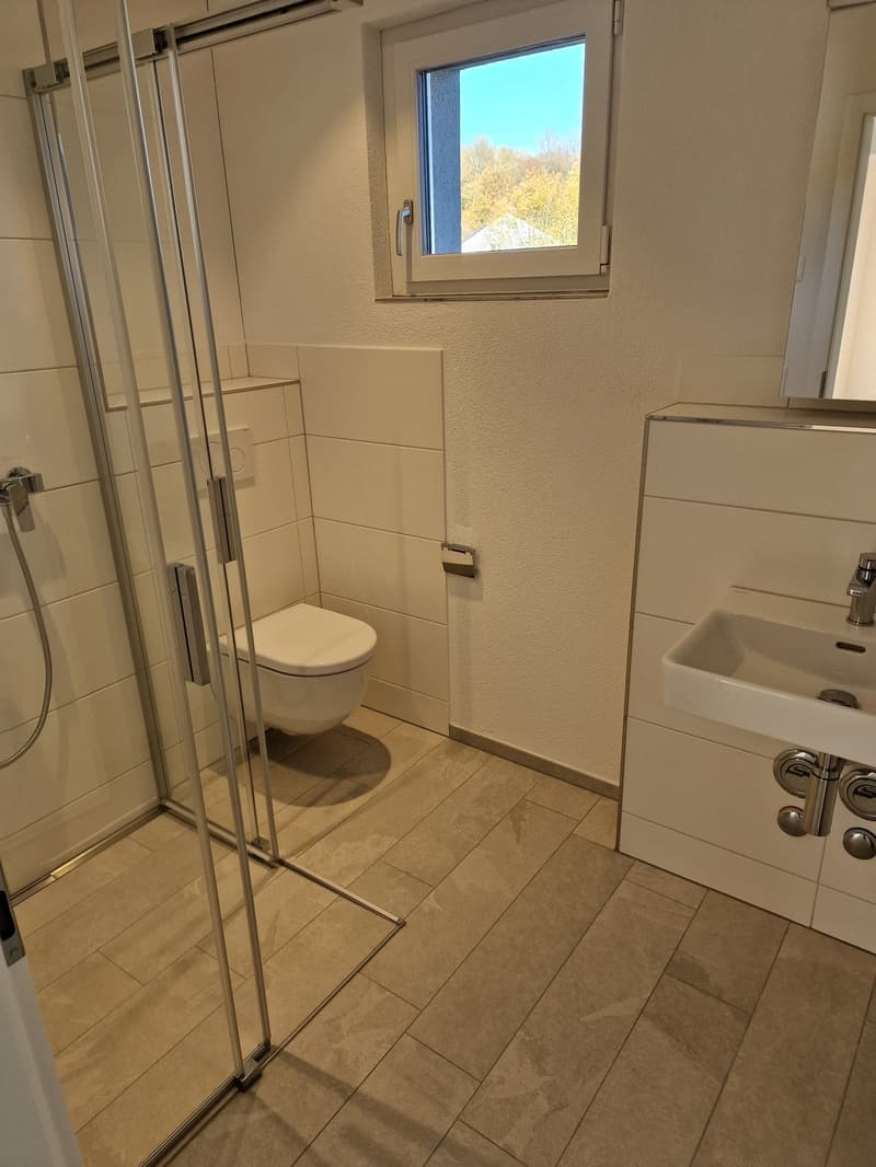 Appartement 2 pièces Feldbrunnen (5)