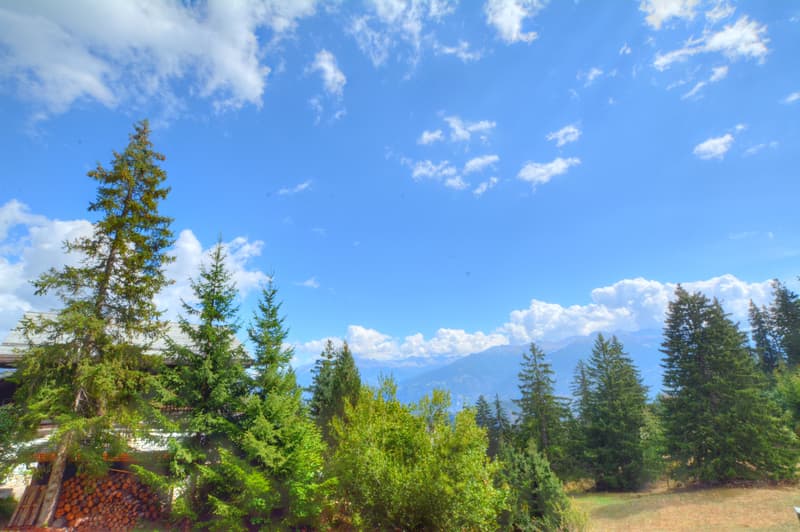 DSC_6261_2_3_4_5_tonemapped